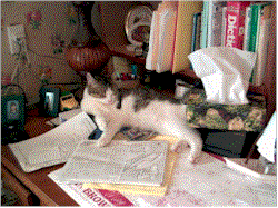 More high engineering