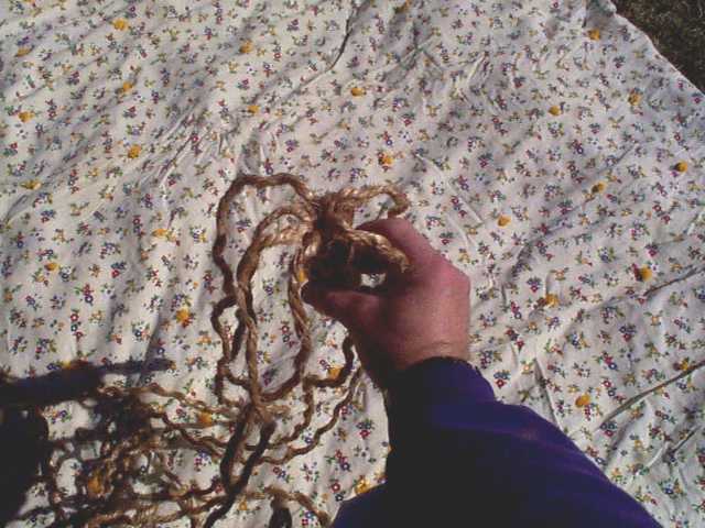 Click for a larger view...