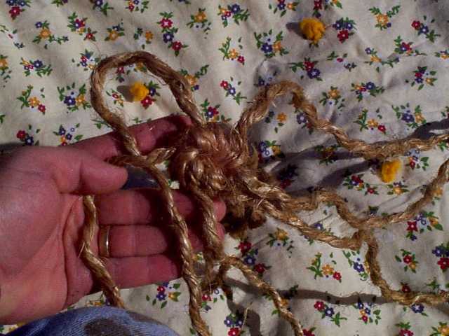 Click for a larger view...